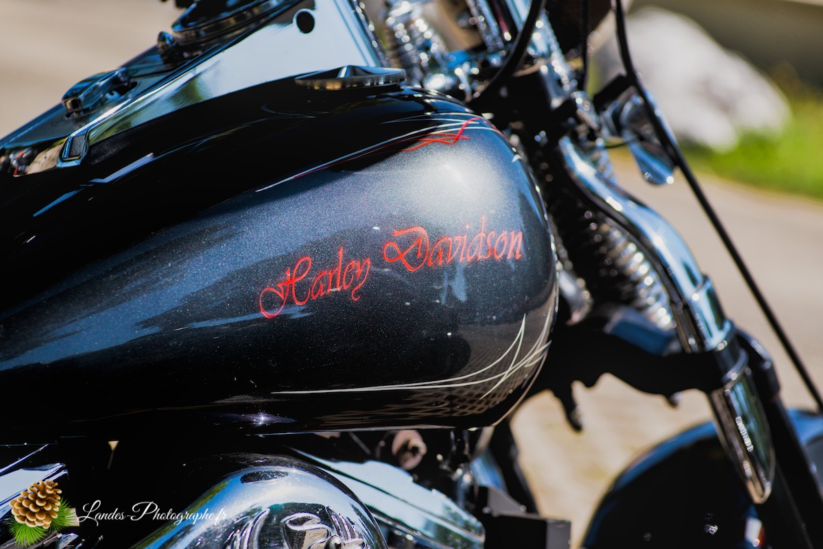 🚗 Car & Moto Addiction à Soustons : Le Charme Intemporel des Belles Anciennes